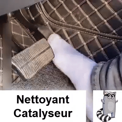 Nettoyant Puissant pour Catalyseur